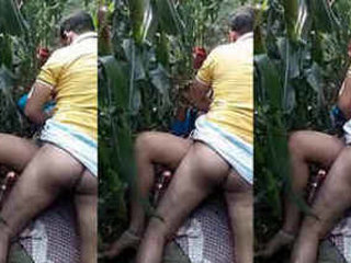 Desi wife enjoys sex in the field with neighbor