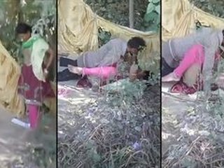 Desi MMS video of cheating babe caught on camera
